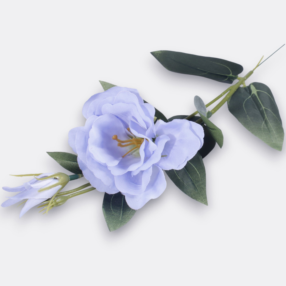 Eustoma, Blue G426-07