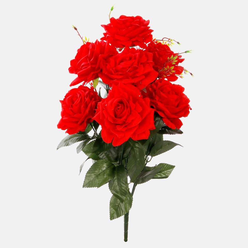 Róża x 7, Pure Red QA082-05