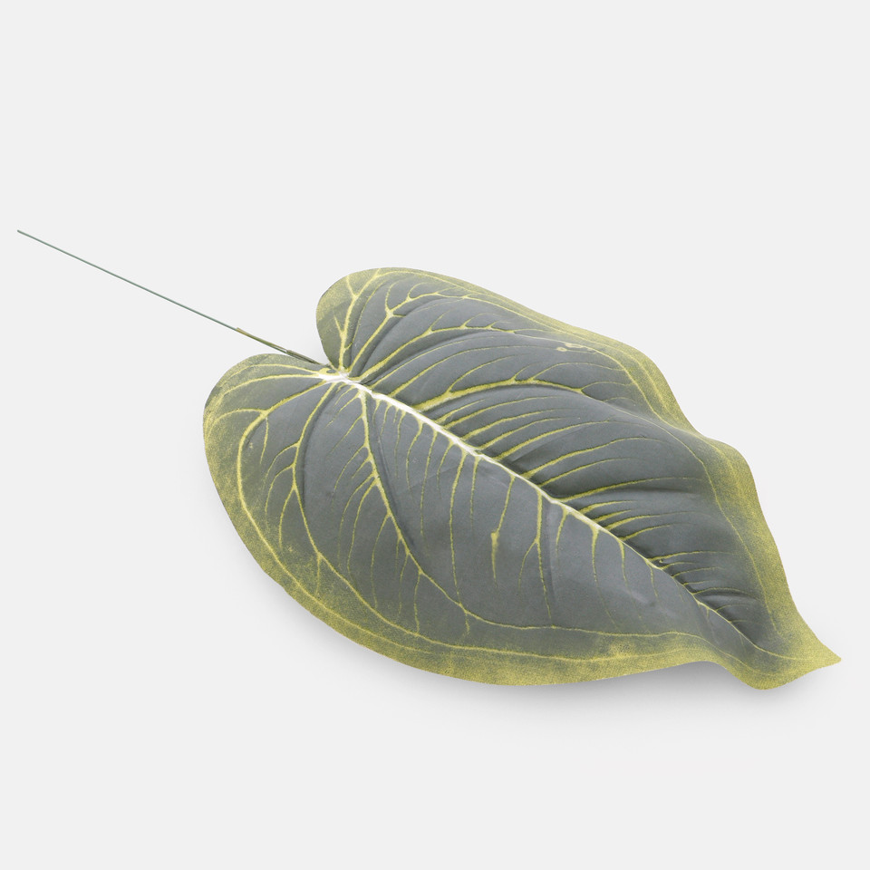 Hosta leaf, Frosty Green A695