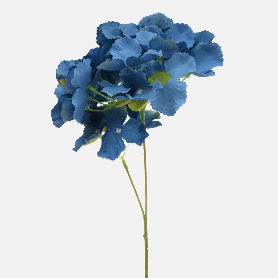 Hydrangea, Blue BK320-07