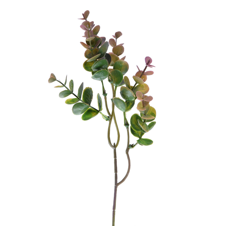 Eukaliptus - gałązka 37 cm, green R461-00