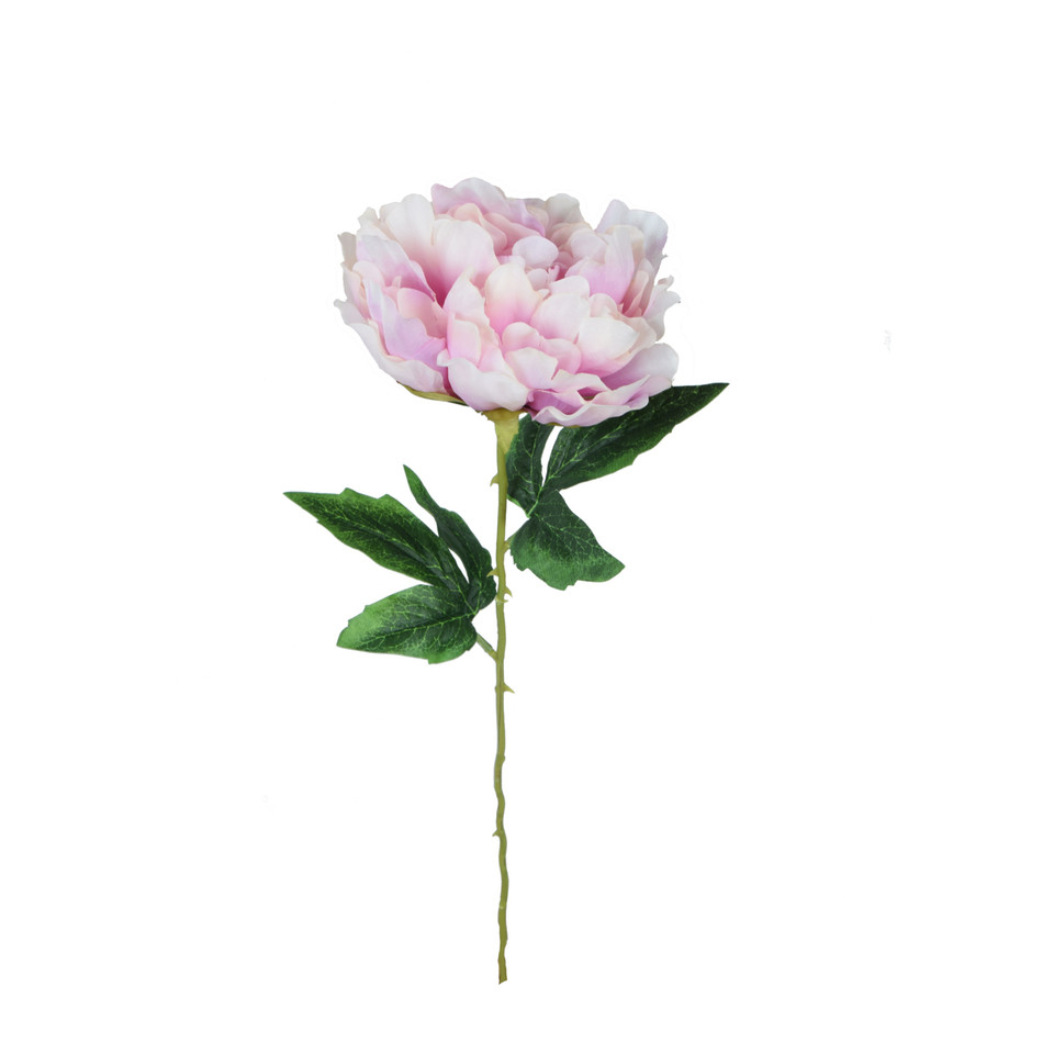 Peonia - gałązka 57 cm, m K417-m