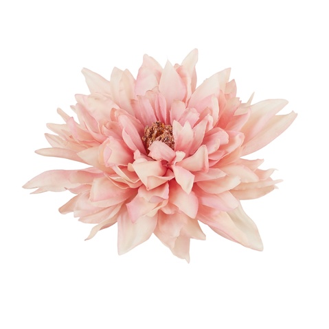 Dahlia, 03 pink B145-03