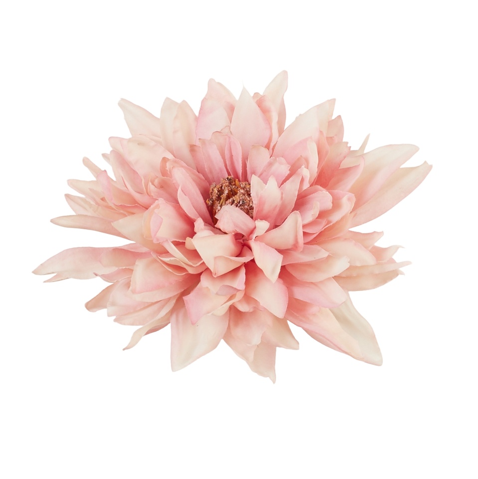 Dahlia, 03 pink B145-03