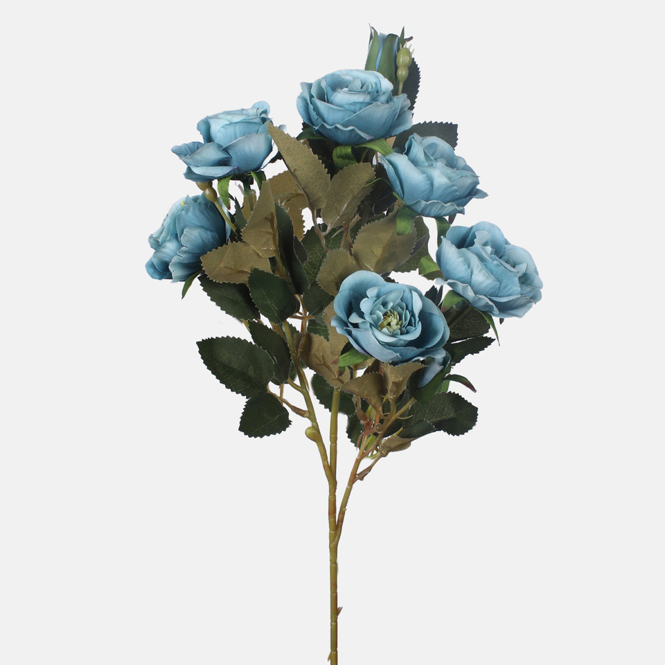 Róża, T.T. Autumn Blue L867K-04