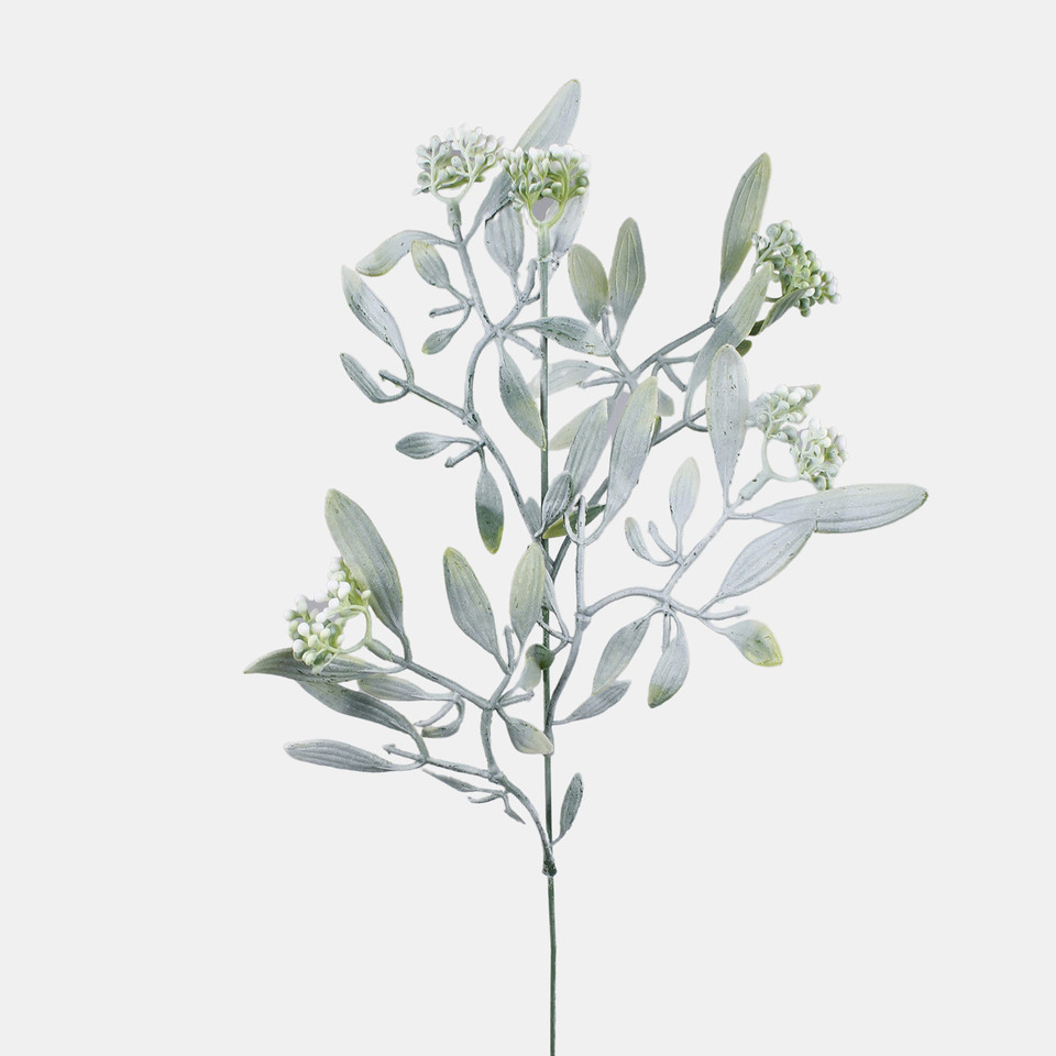 Mistletoe, Mix 1 A784-04
