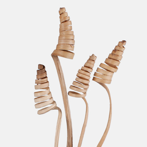 Cane cone mini Y029