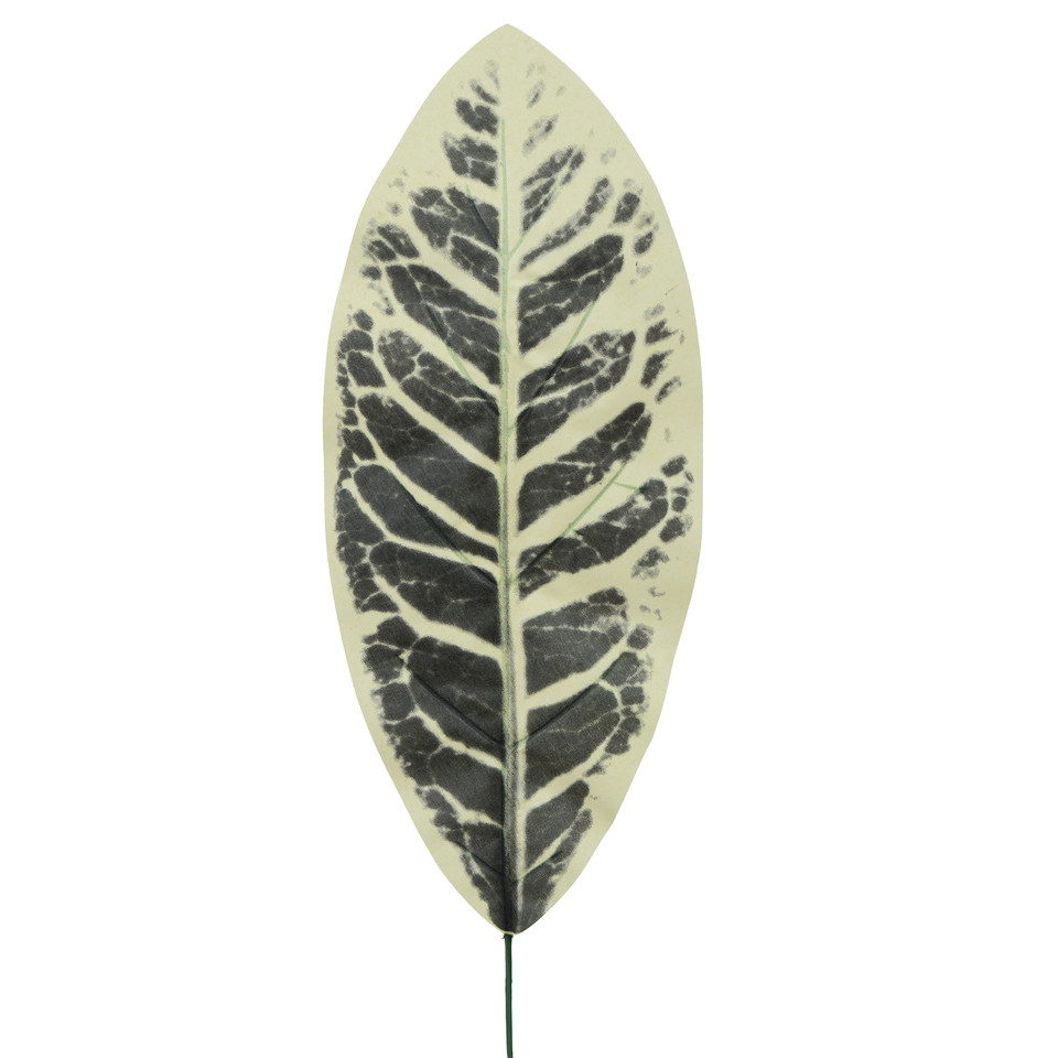 Kalatea - liść 49 cm L530-00