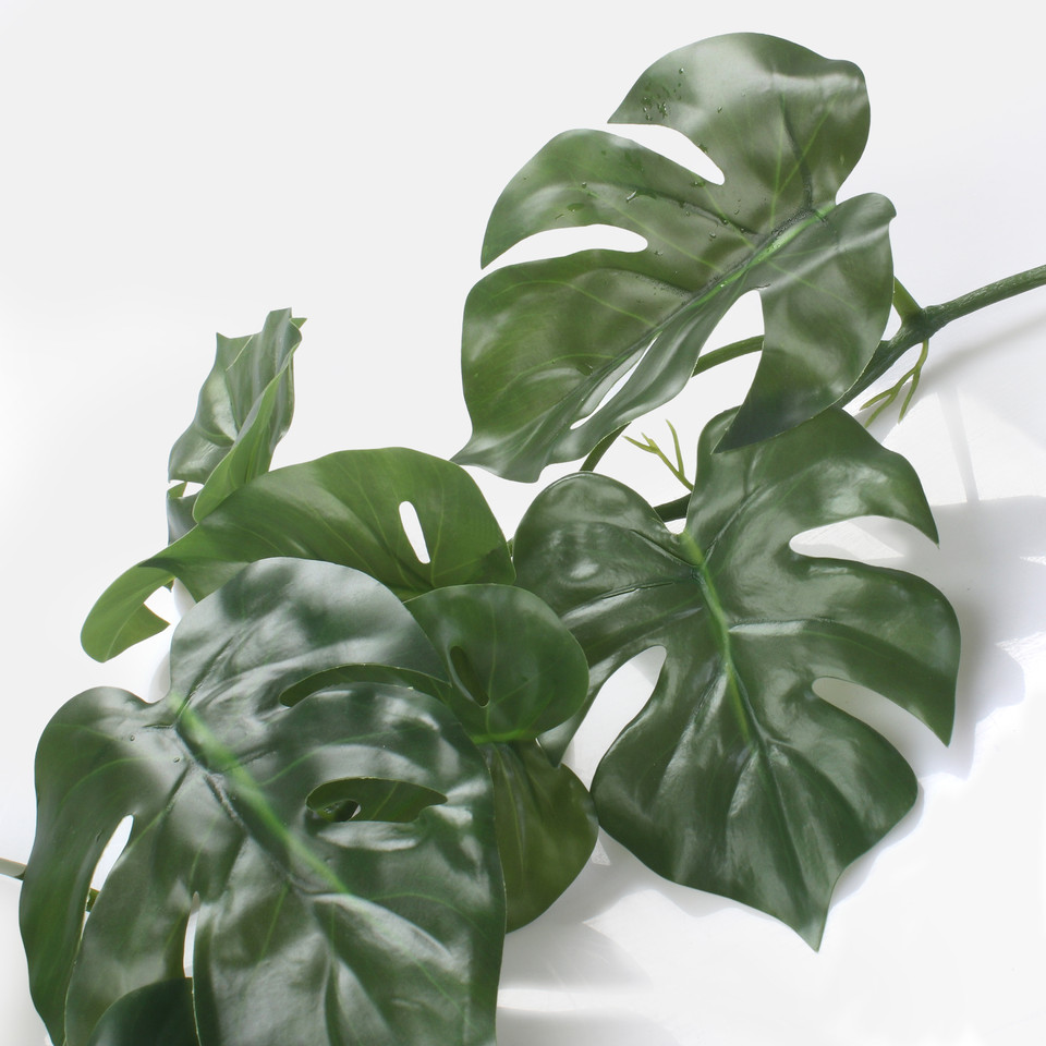 Monstera - girlanda 1,6 m, Green B130-01