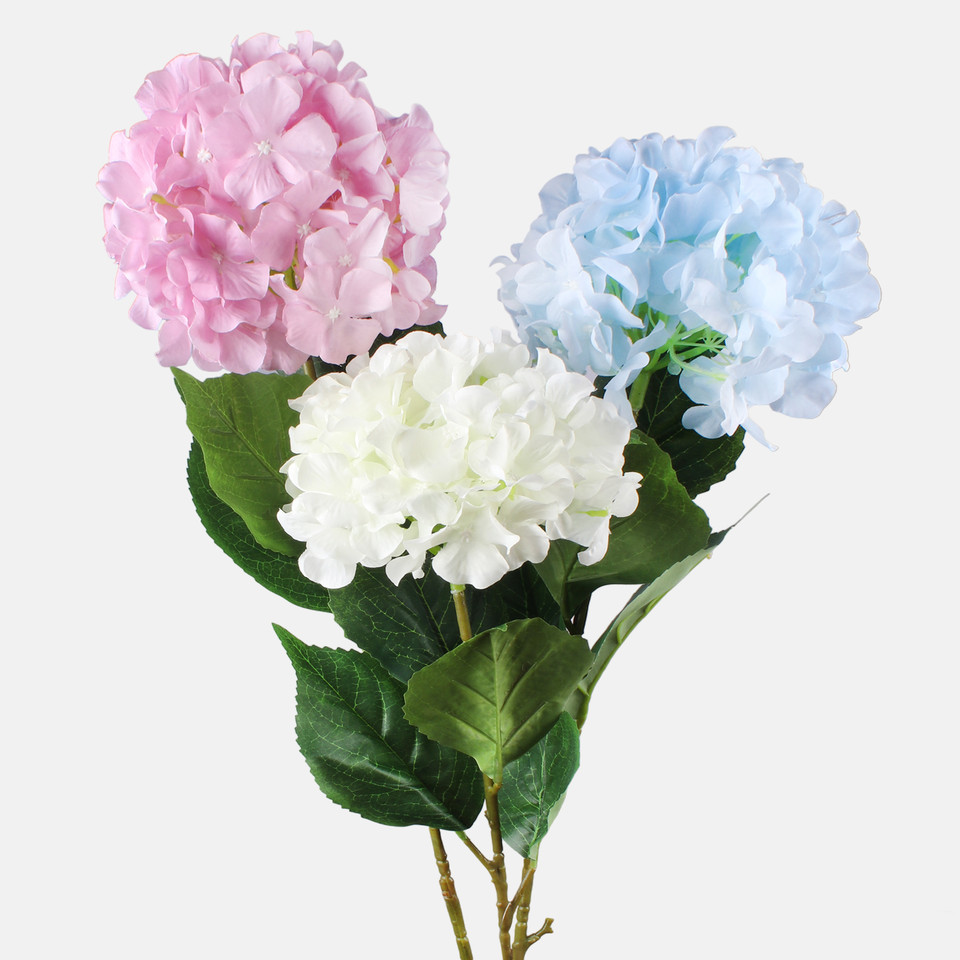 Hydrangea, Lt. Blue L877-03