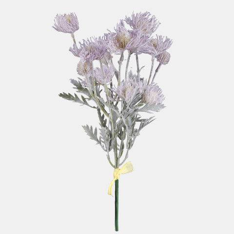 Thistle, Violet QA301-07