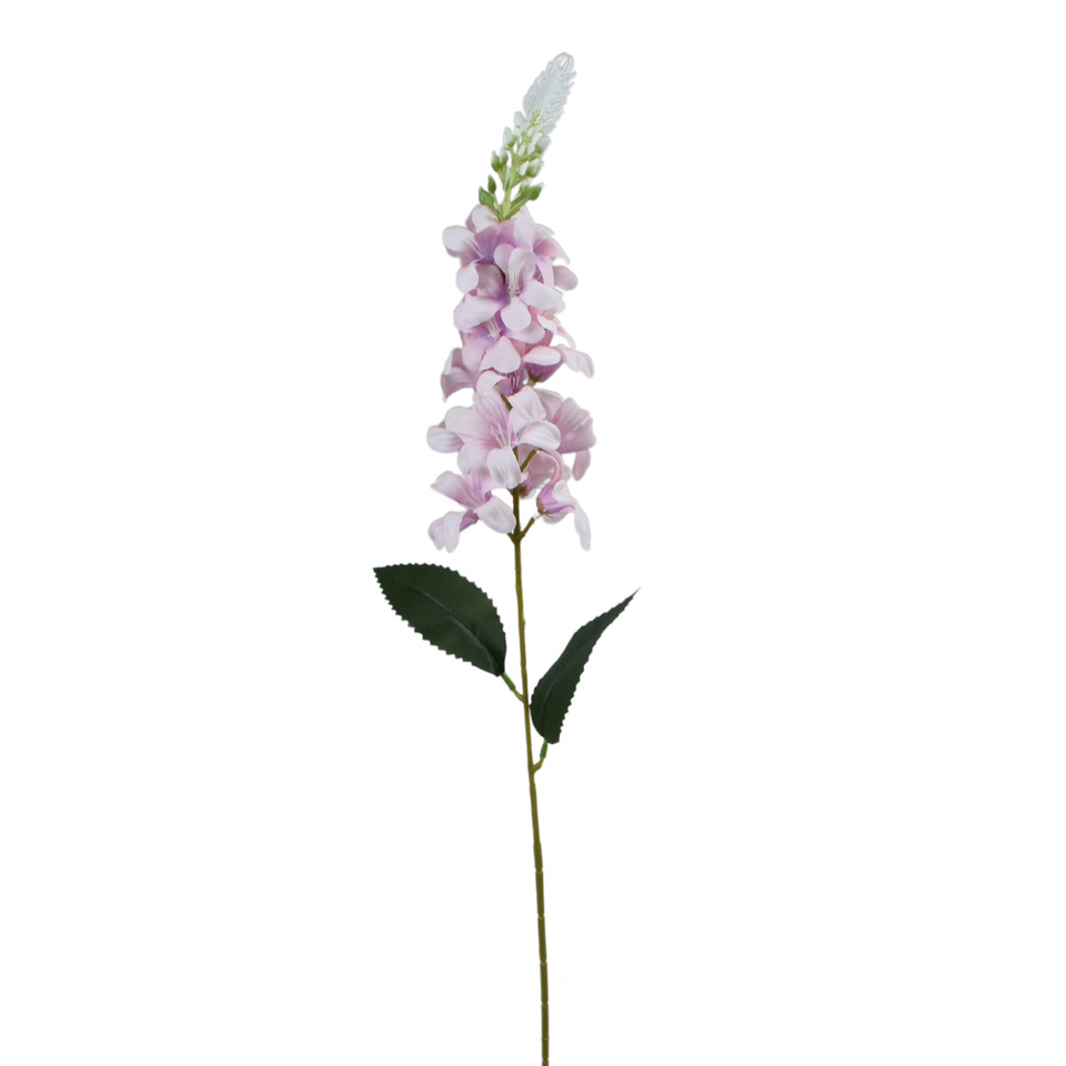 Delfinium Ostróżka – gałązka 75 cm, m2 K649-m2