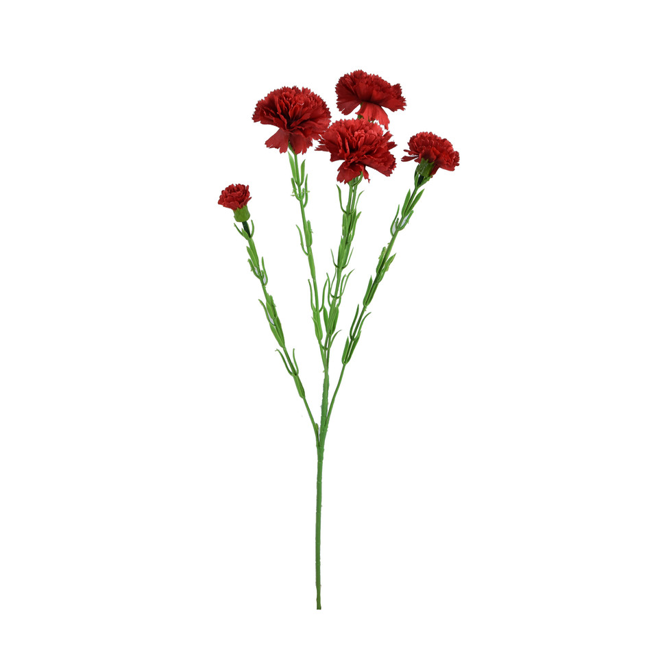 Goździk - gałązka 60 cm, m3 GK139-m3