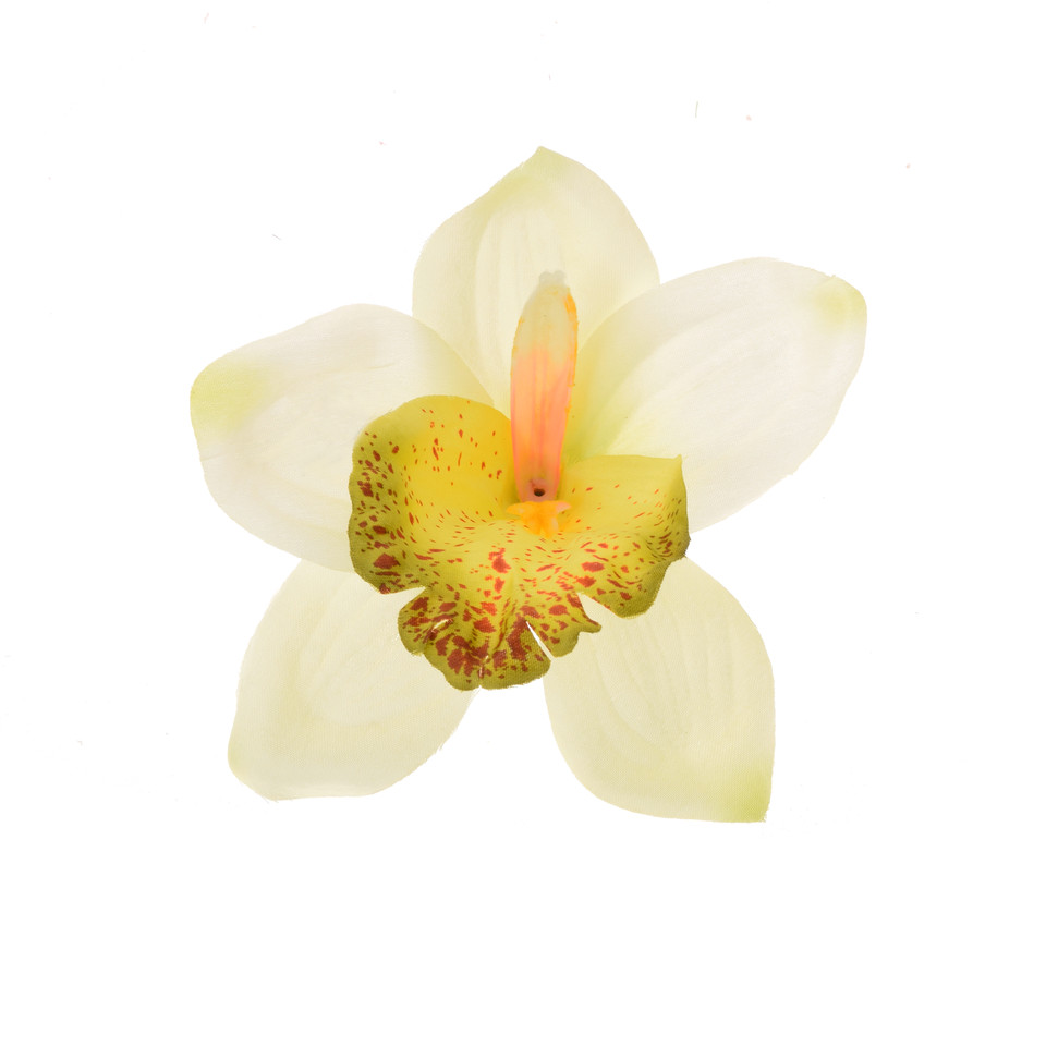 Storczyk - główka 14 cm, cream/green W017-18