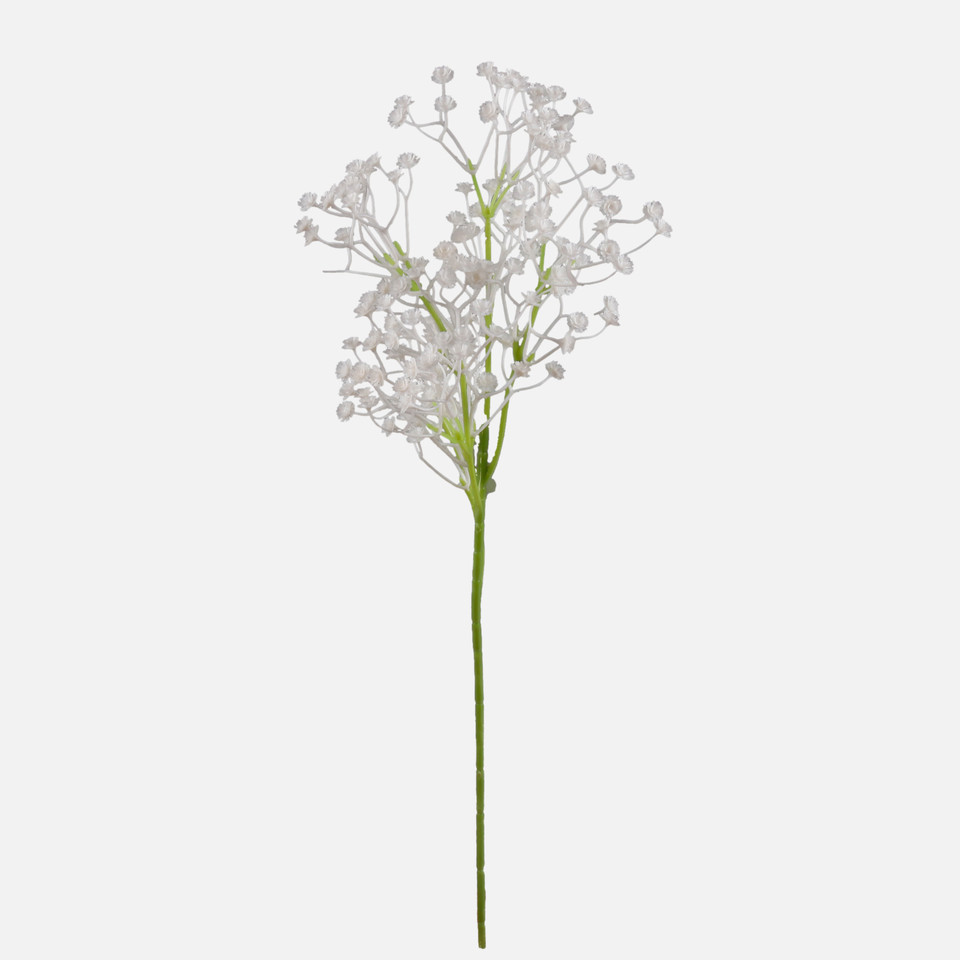 Gypsophila, White G193