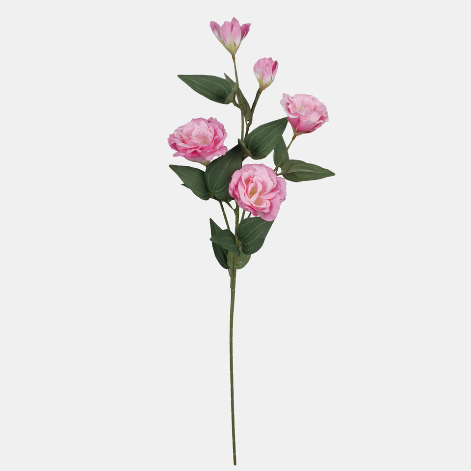 Eustoma, Pink L872-05
