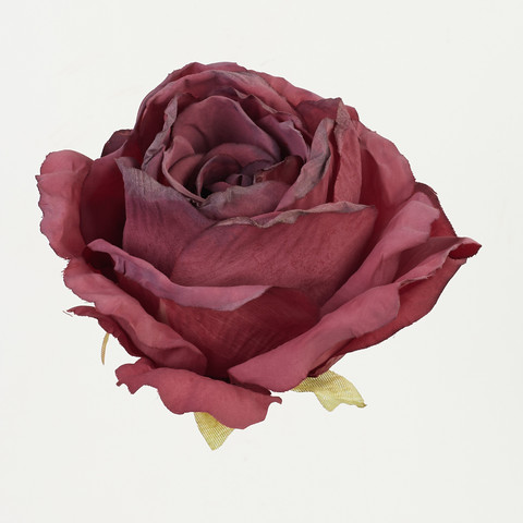 Rose, Red B92-11