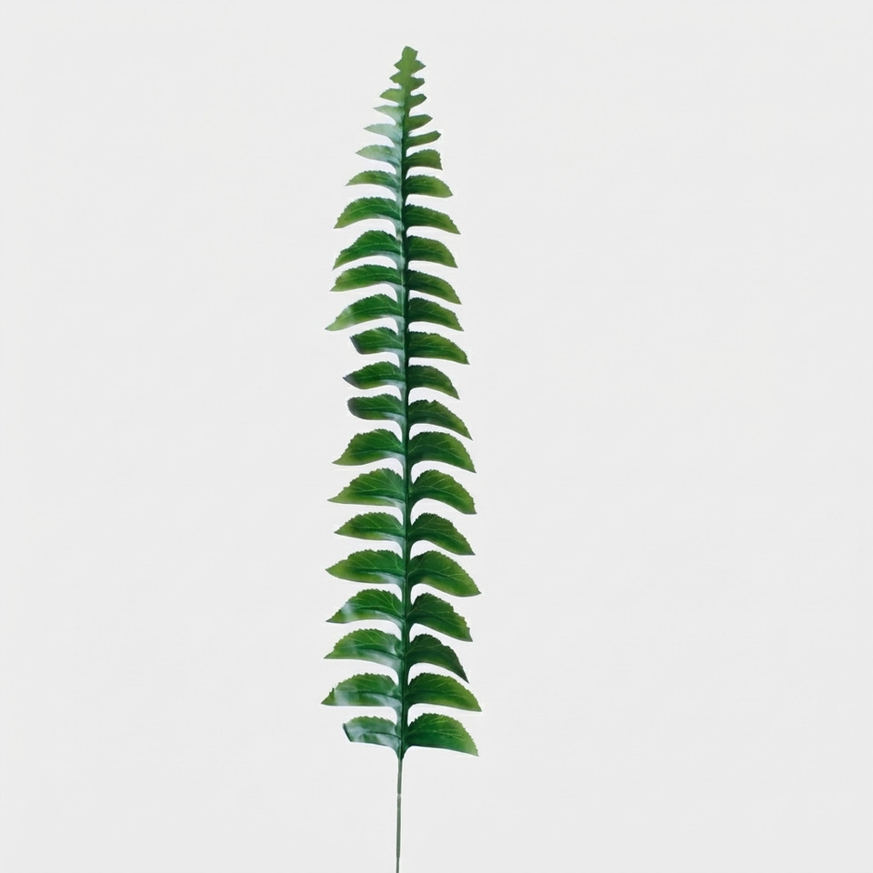 Liść paproci, Green H022B-02