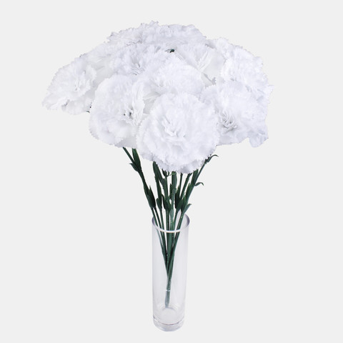 Carnation, Pure White G392-02