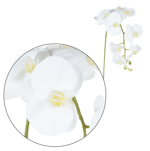 Storczyk - gałązka gumowana 102 cm, pure white GK560-26