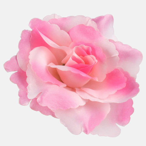 Rose, Lt. Pink W529-12