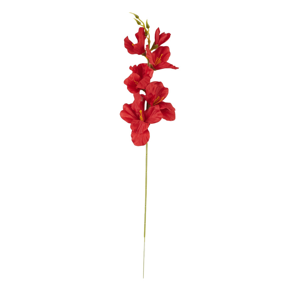 Mieczyk - gałązka 56 cm, 02 red AL180-02