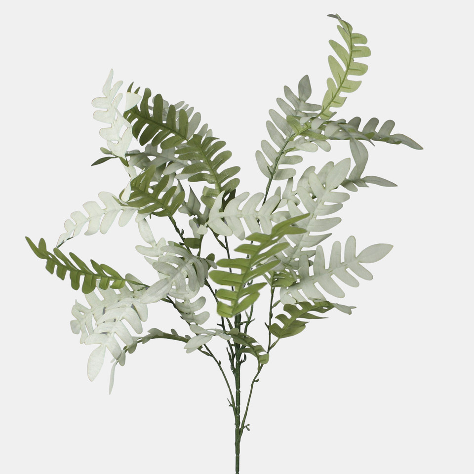 Fern, Green F137-01