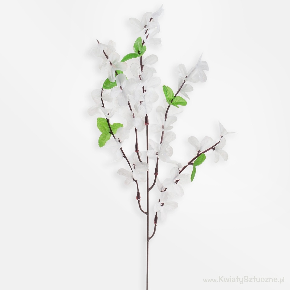 Forsythia, White G002A-02