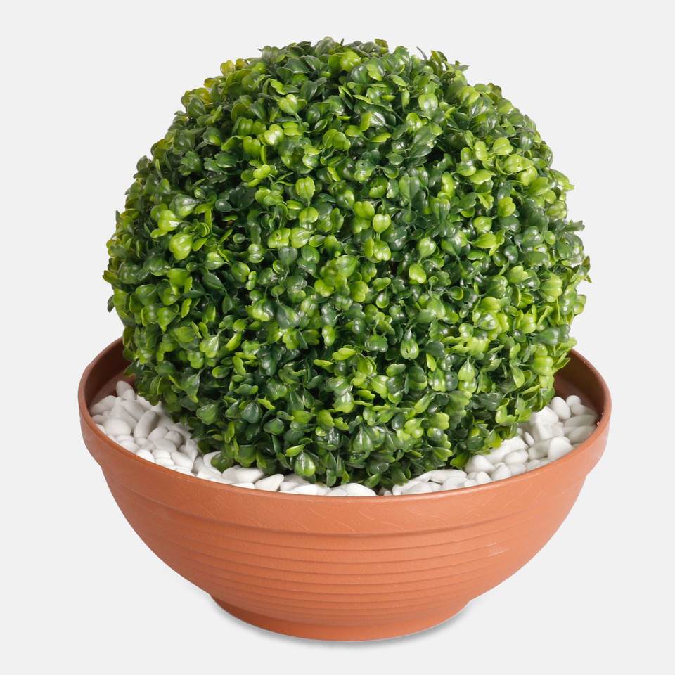 Bukszpan kula 28 cm, Green Z010