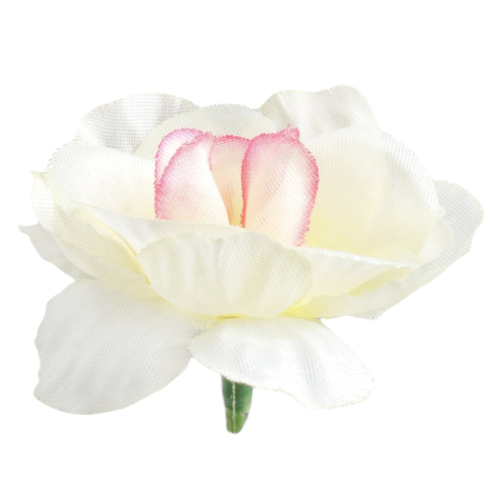 Róża mini, Cream/Pink W303-08