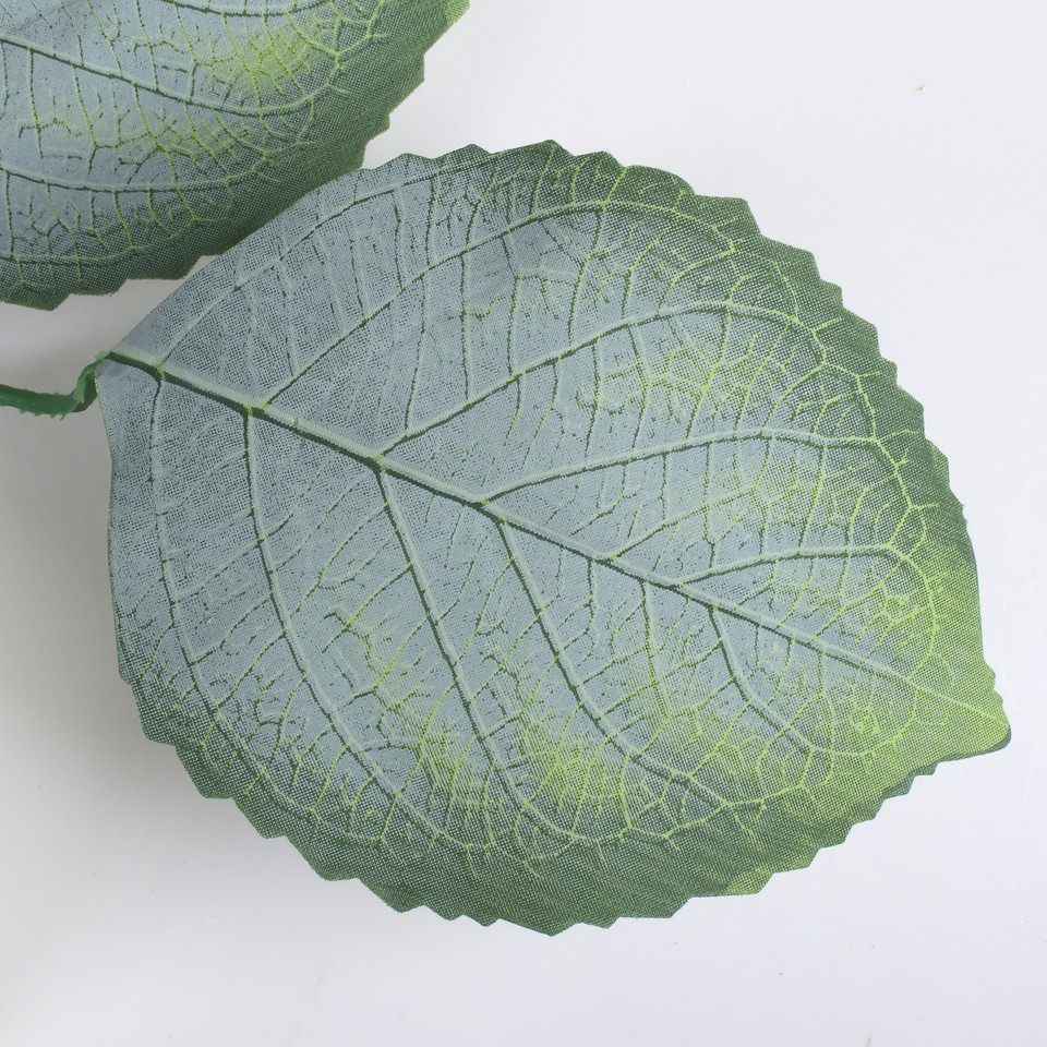 Alder, Green F219-01