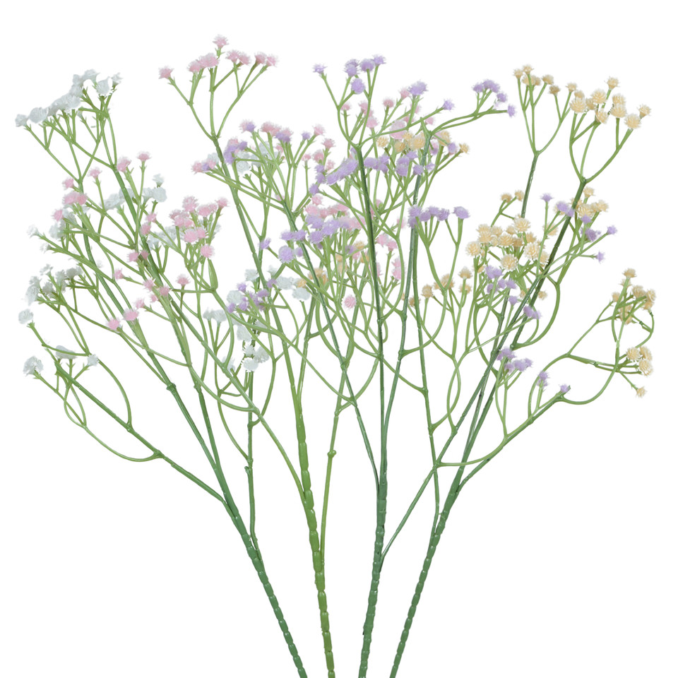 Gypsophila, Mix K467-m