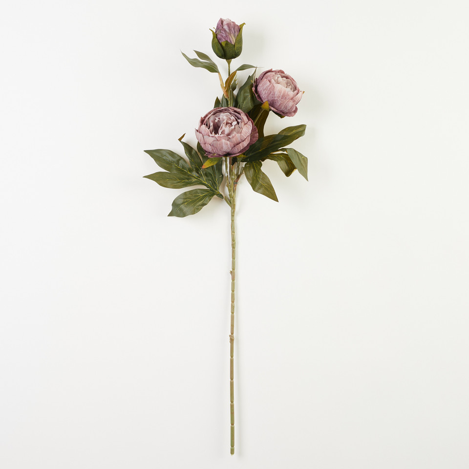Peonia – gałązka x3, 14 B38-14