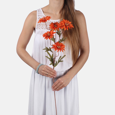 Dahlia L866K (Product size)