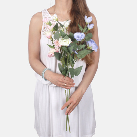 Eustoma L872 (Product size)