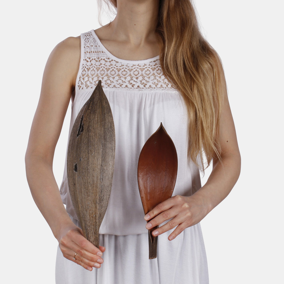 Coco shell 250 g Y044