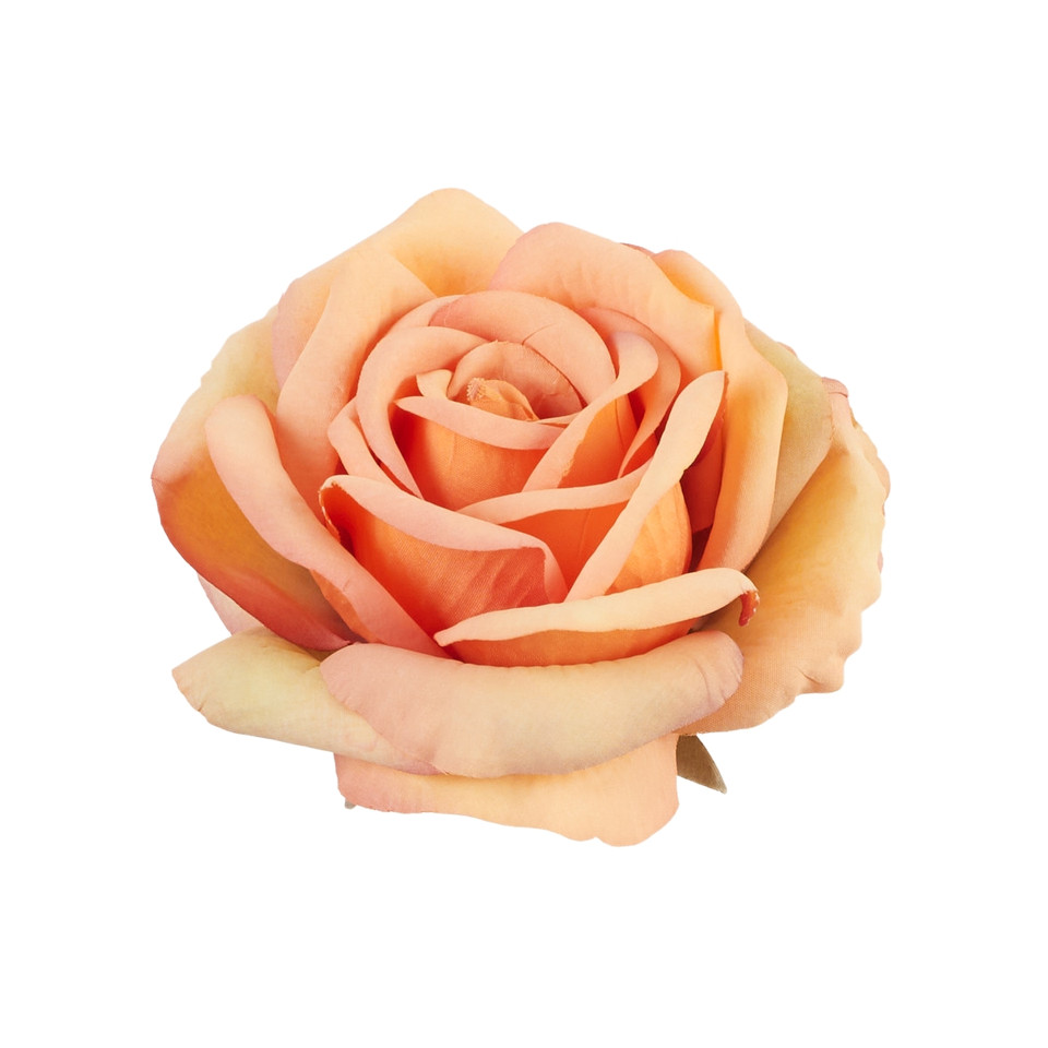 Rose, #06 dk peach/yellow B70-06