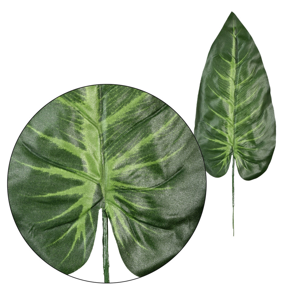 Słoniowe ucho - liść 47 cm, green L903-00