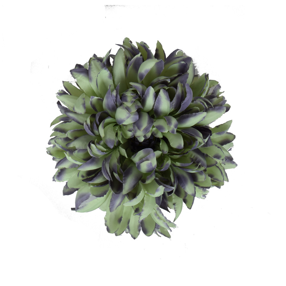 Chryzantema - główka 18 cm, green/purple W059-57