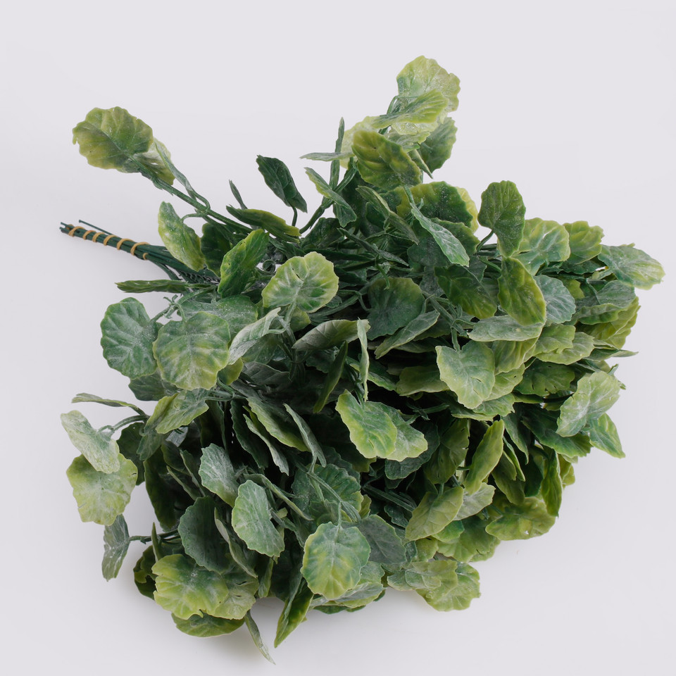 Geranium, T.T. Green A313
