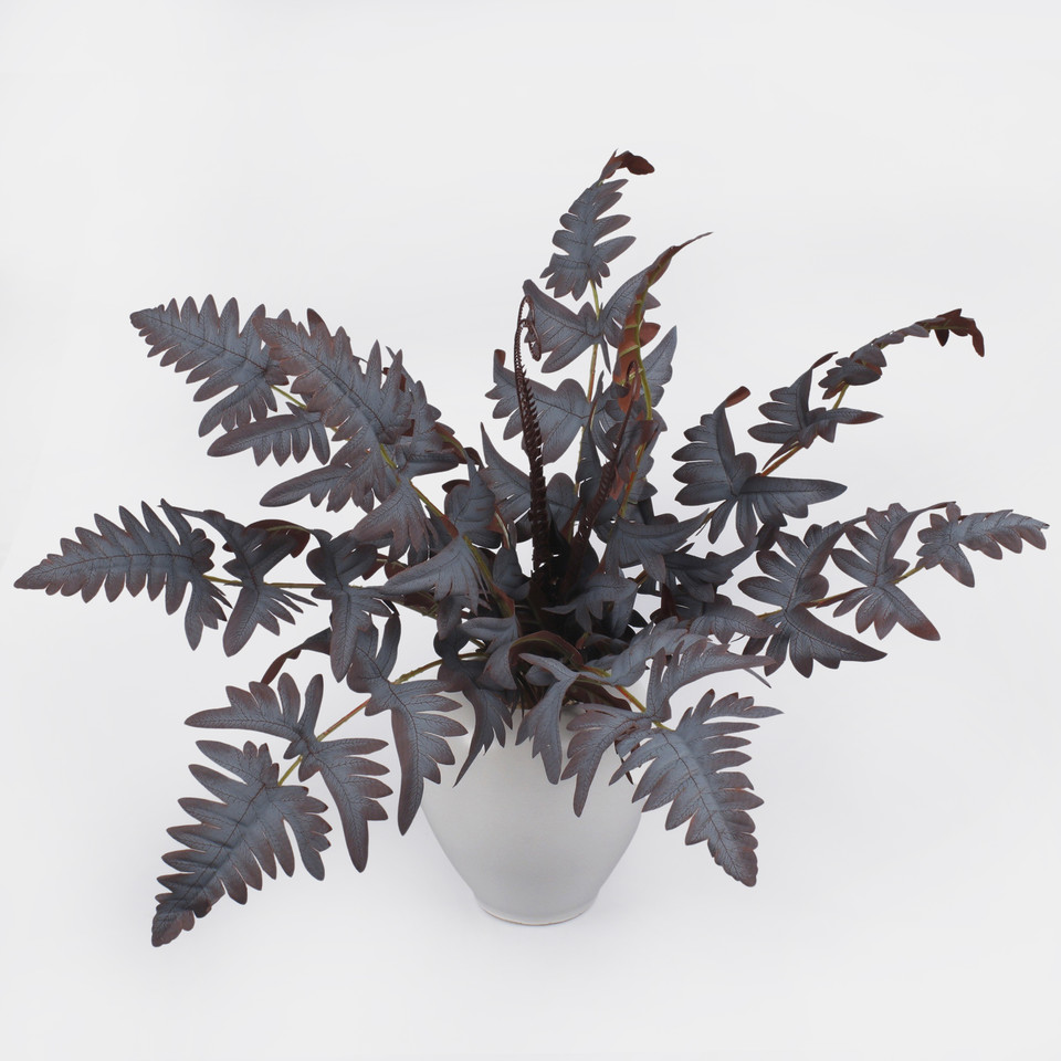 Fern bush, Mix 1 Z180-01