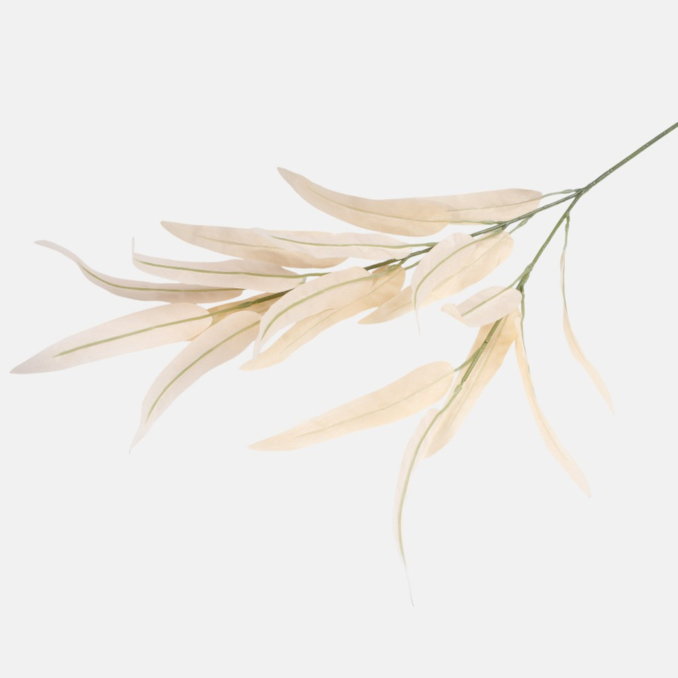 Wierzba, Peach F250-02
