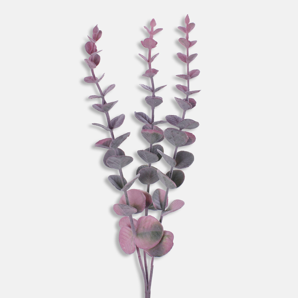 Eukaliptus, Lilac/Green A666K-01