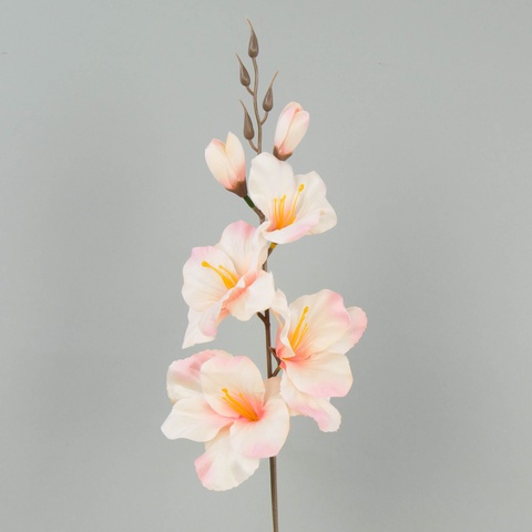 Mieczyk – pik satyna (12 szt.), autumn cream/pink W183-53