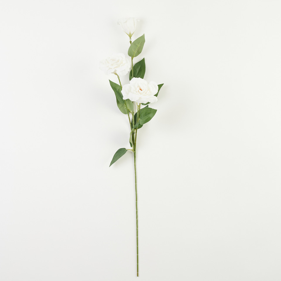 Eustoma – gałązka x3, cream A105-01