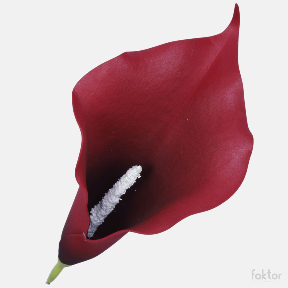 Calla, Burgundy W713-12