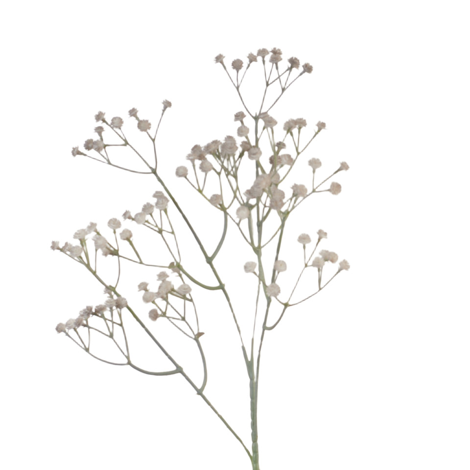 Gipsówka - gałązka 62 cm, 16 grey AL86-16