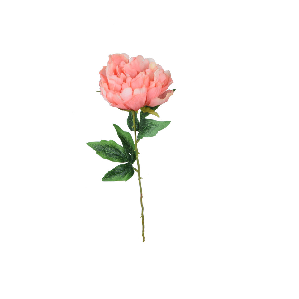 Peonia - gałązka 57 cm, m K417-m