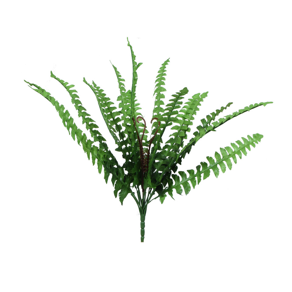 Paproć - bukiet 59 cm, green R587-00