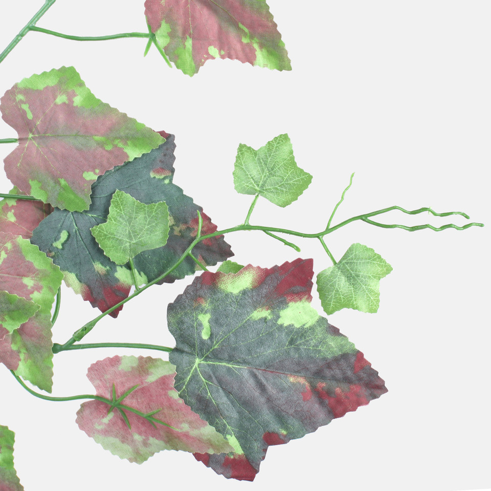 Vine, T.T. Green/Brown F218-01